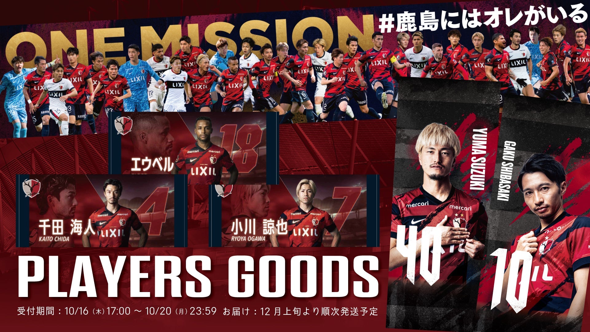 鹿島アントラーズ 25 インスタントフォトカード 全29種コンプリート セット 鹿島アントラーズ 25 インスタントフォトカード 全29種