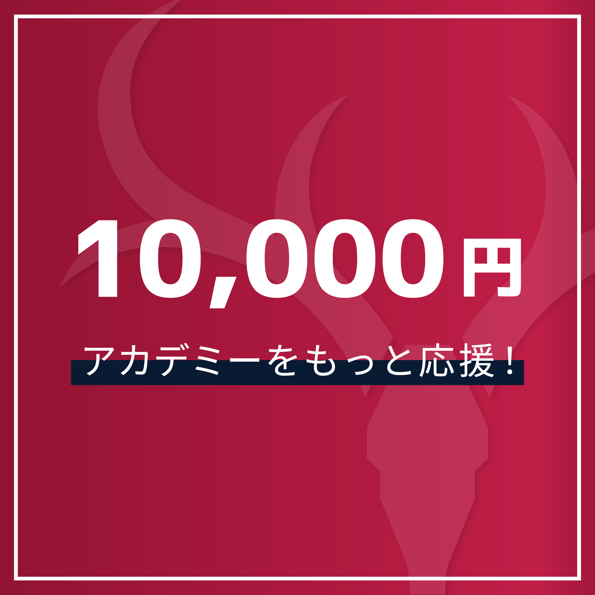 10,000円】2026シーズンアカデミーサポートクラブ – 鹿島アントラーズ