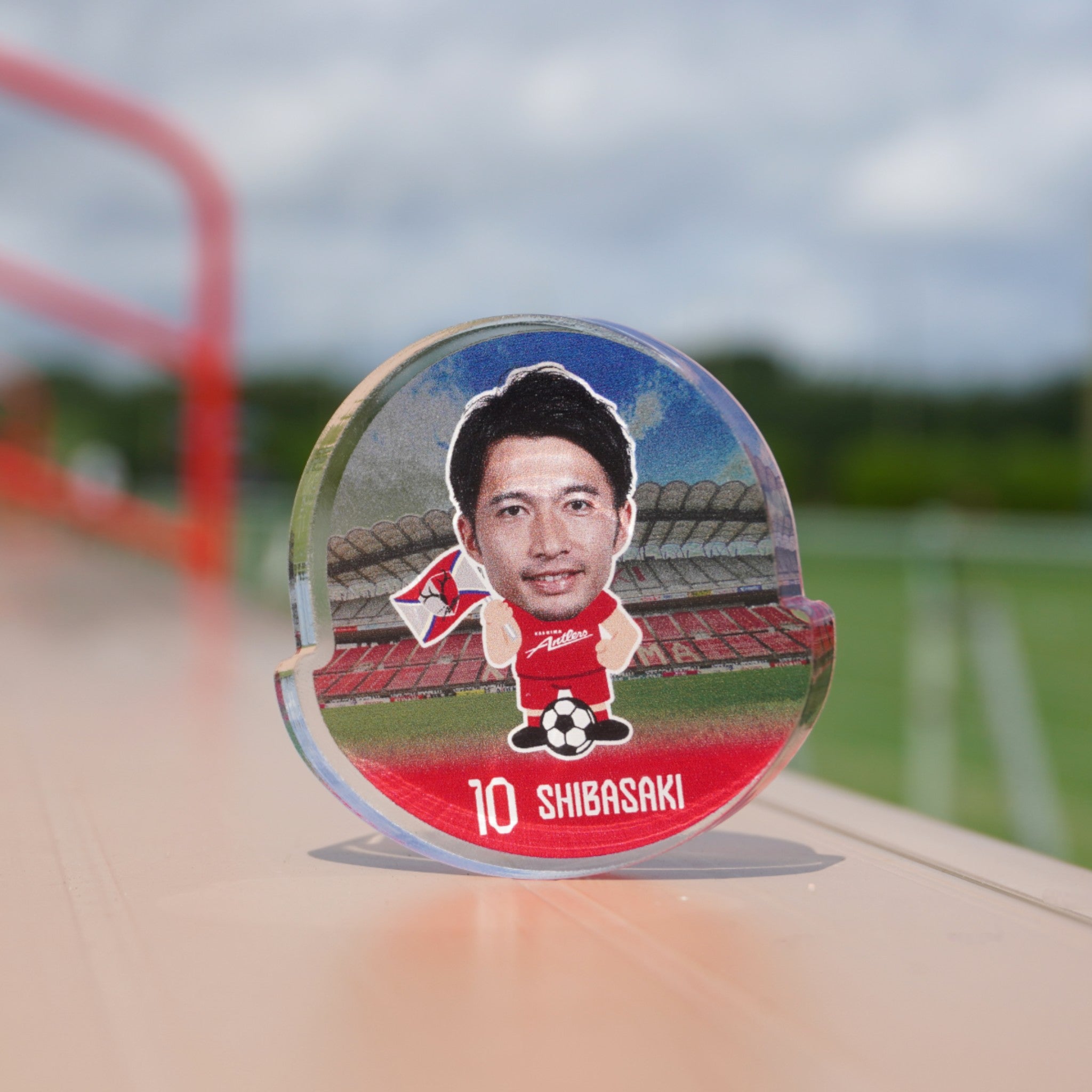 徳島ヴォルティス ゆらゆらアクリル 徳島ヴォルティス ゆらゆらアクリル 徳島ヴォルティス ゆらゆら