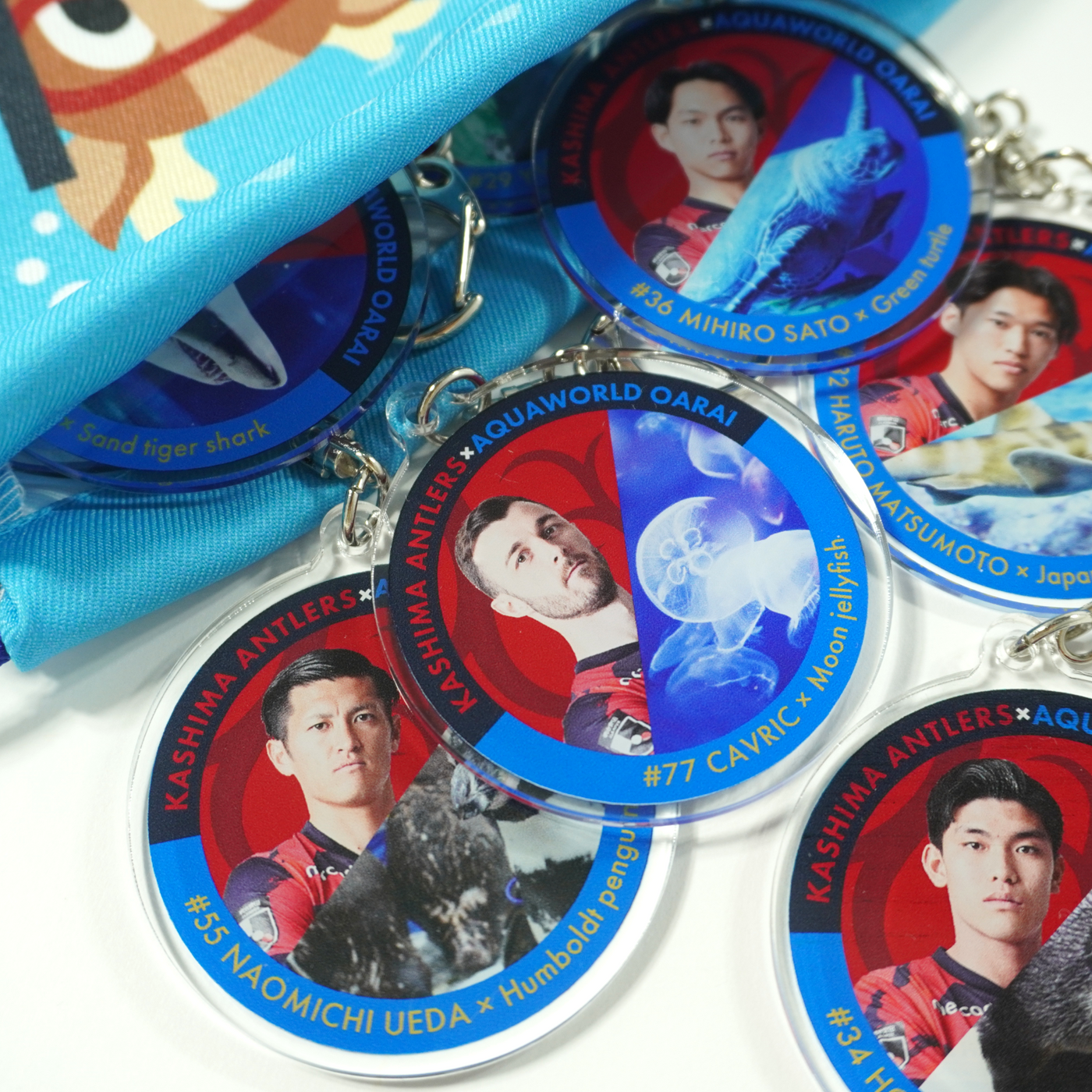 【ブラインド】アクアワールド大洗×鹿島アントラーズ アクリルキーホルダー