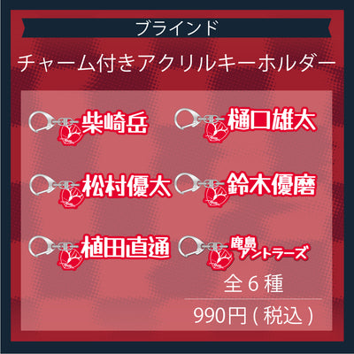 【ブラインド】チャーム付きアクリルキーホルダー（全6種）