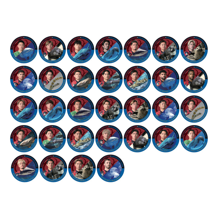 32_3a437e9f-4ba5-44b1-8605-