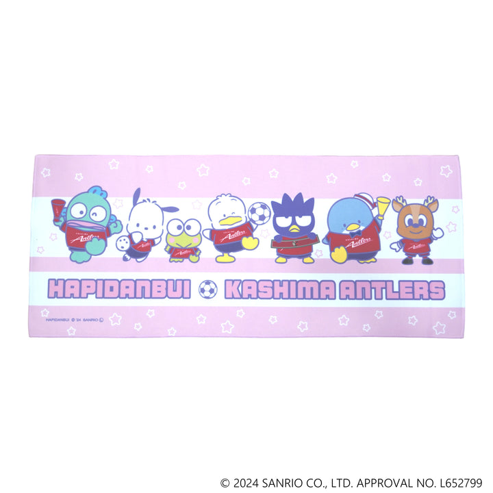 2000年製　300個限定　サンリオ　フェアリーキティ　ピンバッジセット sanrio（サンリオ） ピンバッジ キティ 和柄 ピンバッチ 円窓 キティ