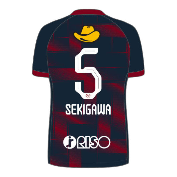 2014NIKE鹿島アントラーズ 柴崎岳サイン入りオーセンティックユニフォーム 2014NIKE鹿島アントラーズ 柴崎岳サイン入りオーセンティック