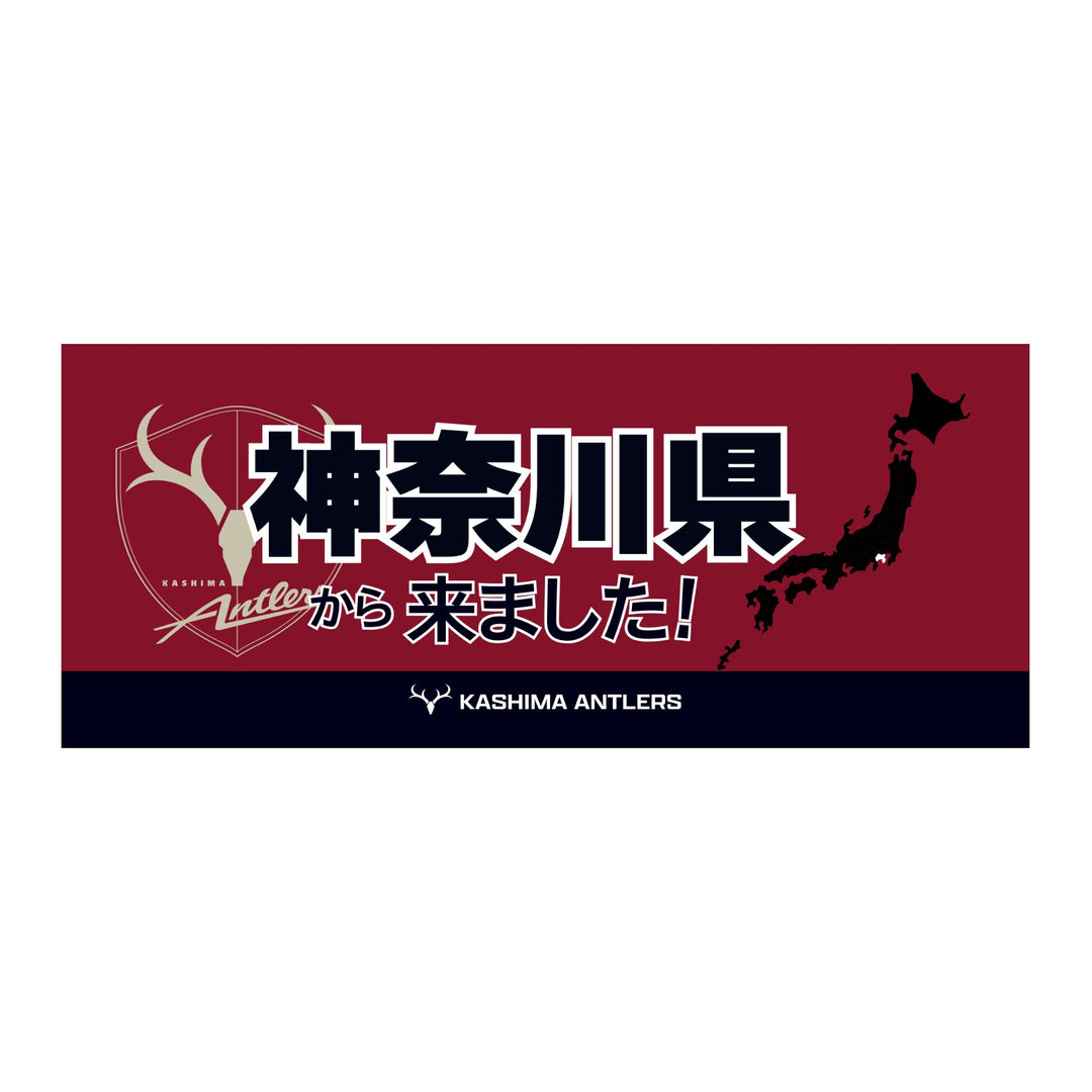 山本彩　グッズ　CD  DVD  FC限定  タオル　本 山本彩グッズCD DVD FC限定 タオル本