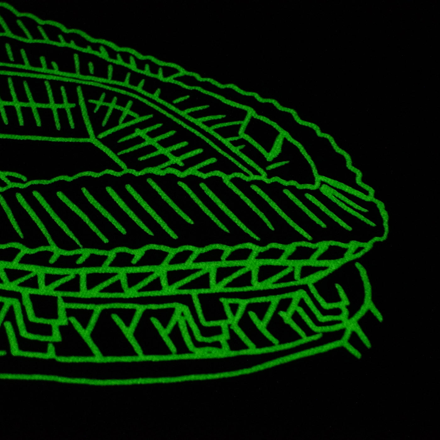 Glow in the dark stadium TEE（BLACK）