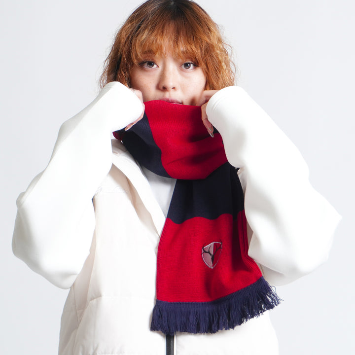 英国製BARスカーフ – 鹿島アントラーズFC - 公式オンラインストア