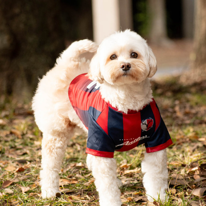 26オリジナルネームドッグユニフォーム【受注】 – 鹿島アントラーズFC