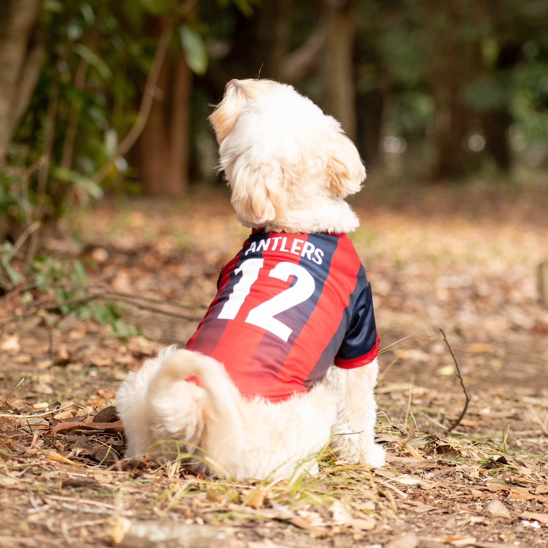 26オリジナルネームドッグユニフォーム【受注】 – 鹿島アントラーズFC
