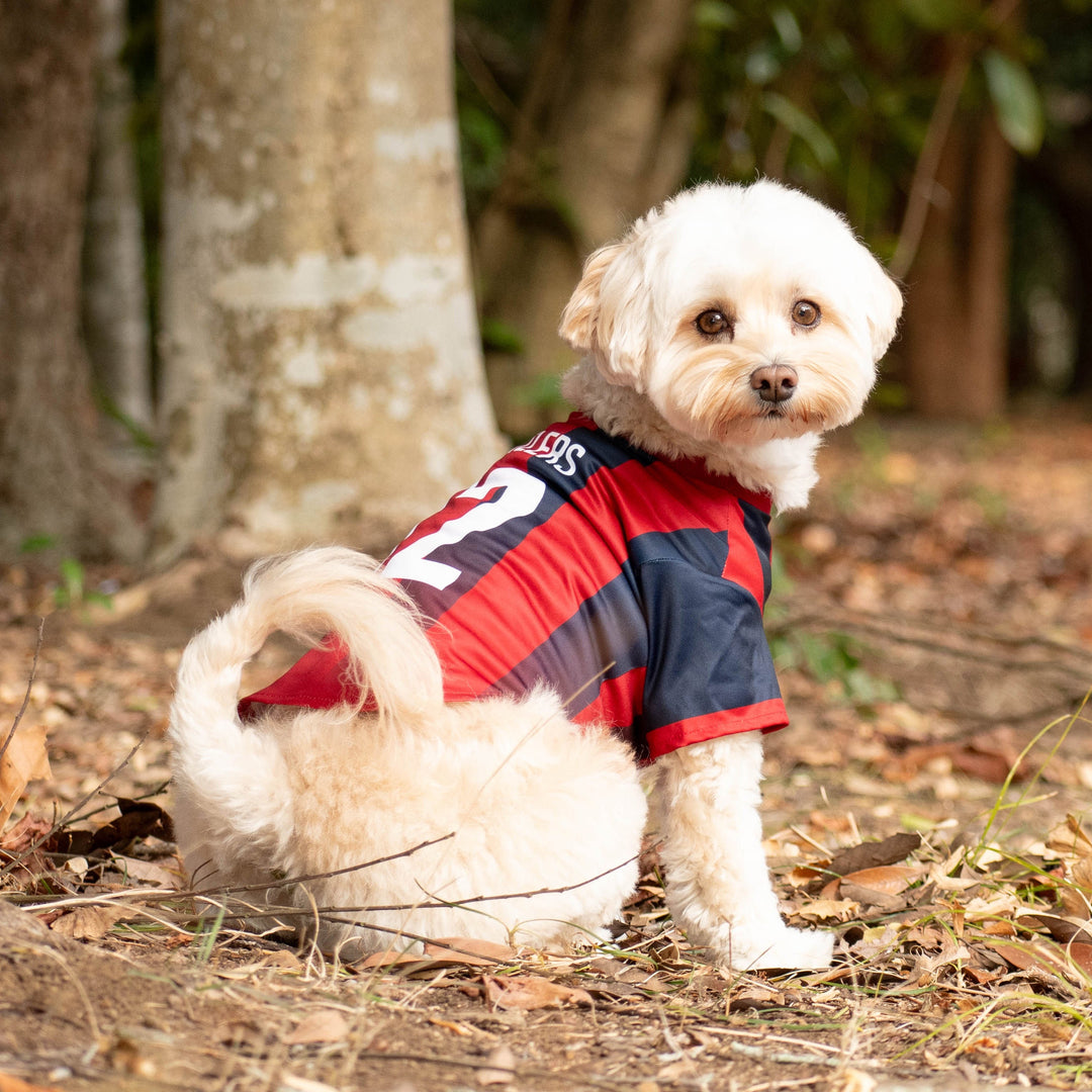 26オリジナルネームドッグユニフォーム【受注】 – 鹿島アントラーズFC