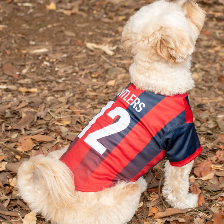 DSC_3157_720x.jpg?v=1767835460