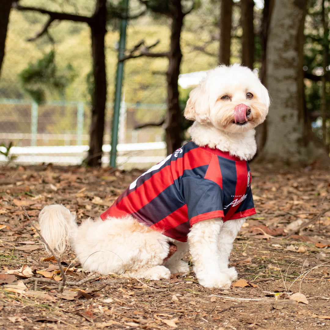26オリジナルネームドッグユニフォーム【受注】 – 鹿島アントラーズFC