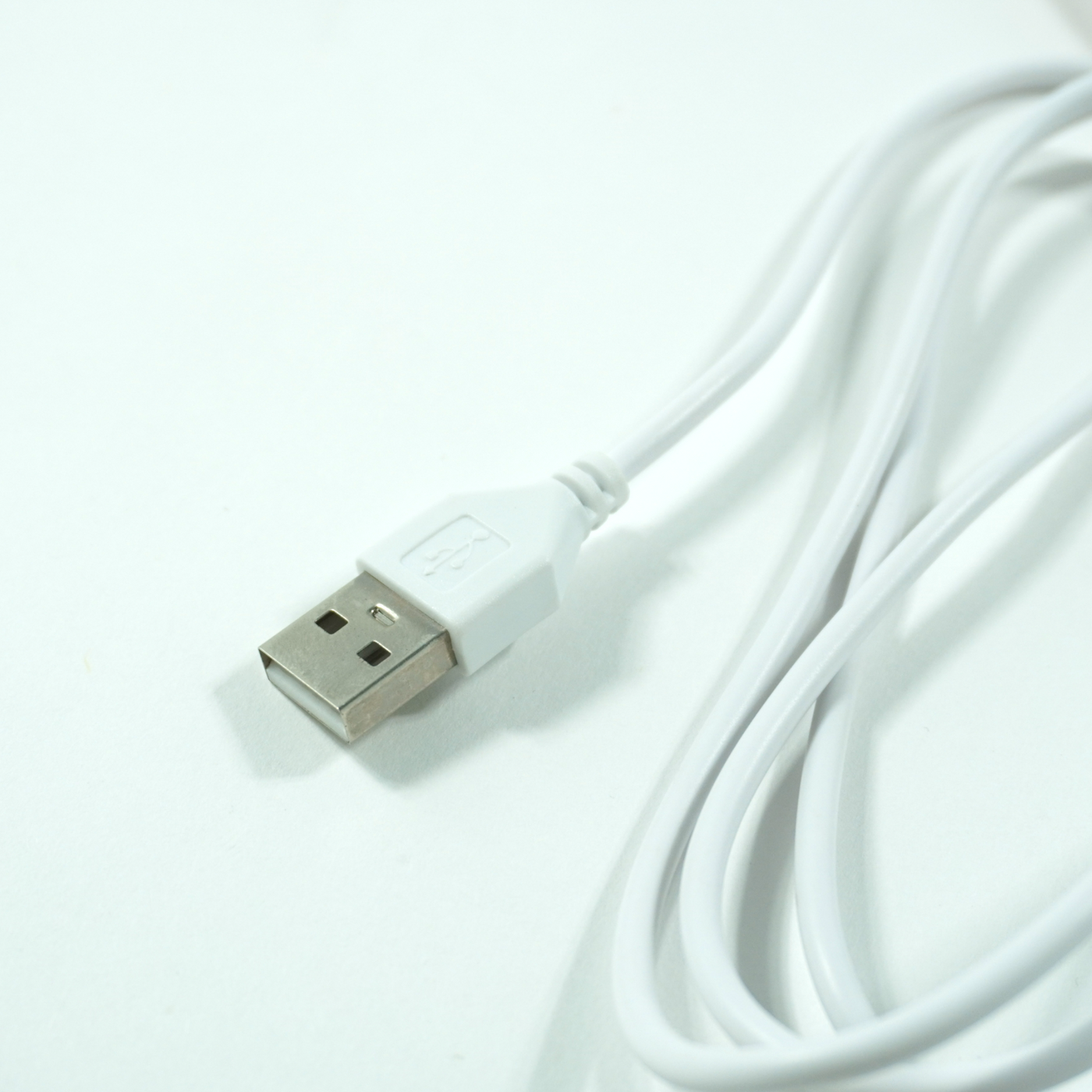 ネオンライト（EM）