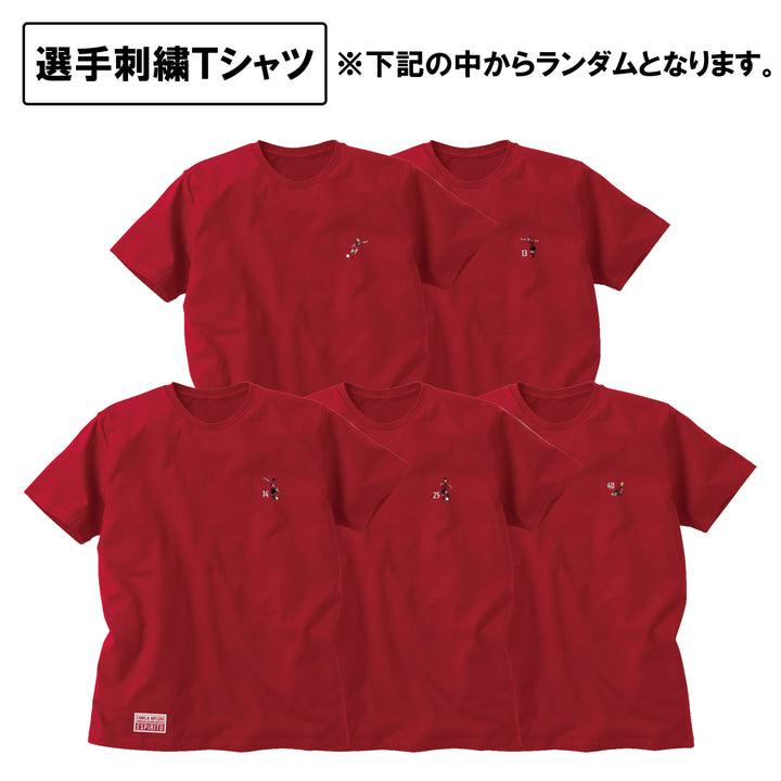 2017年 鹿島アントラーズ ポロシャツ Mサイズ 新品未開封 支給品 hj1393-451_02.jpg