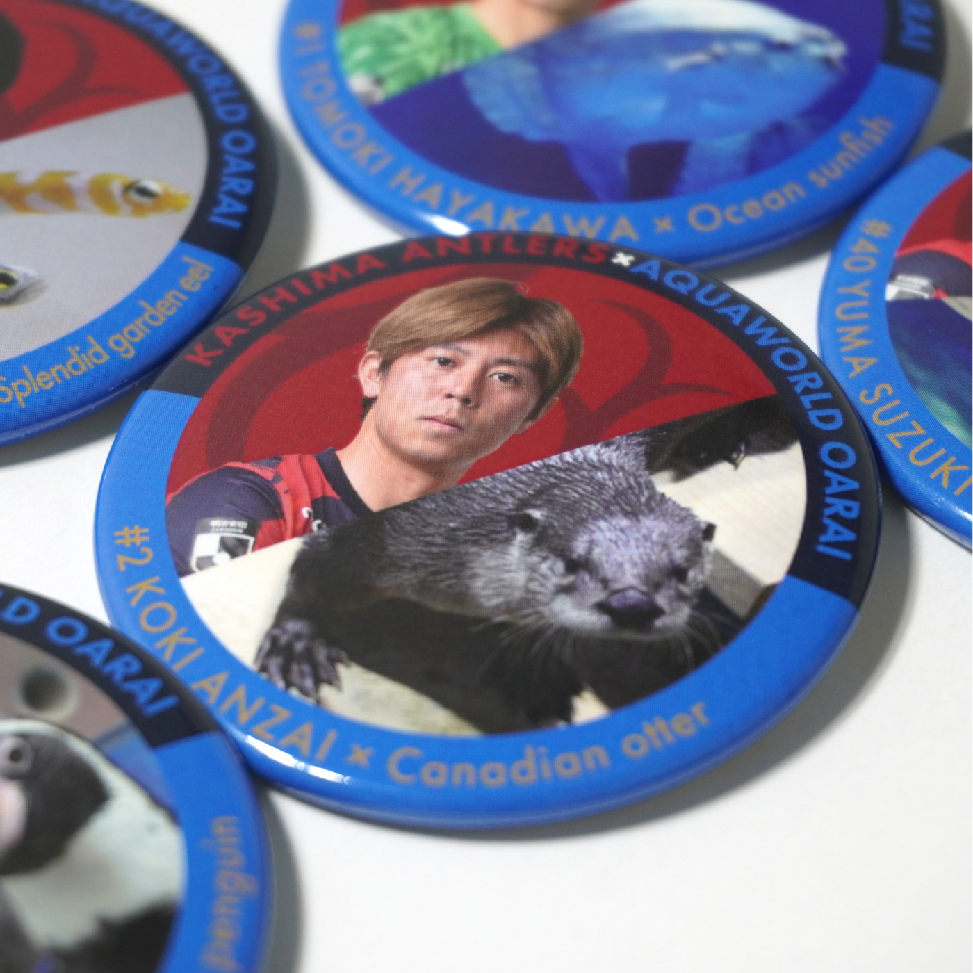 【ブラインド】アクアワールド大洗×鹿島アントラーズ 缶バッジ