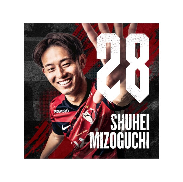 鹿島アントラーズ 25 インスタントフォトカード 全29種コンプリート セット 鹿島アントラーズ】エポック 2025 Jリーグオフィシャルカード