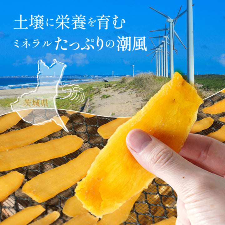 アントラーズべにはるかほしいも – 鹿島アントラーズFC - 公式