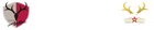 鹿島アントラーズFC - 公式オンラインストア
